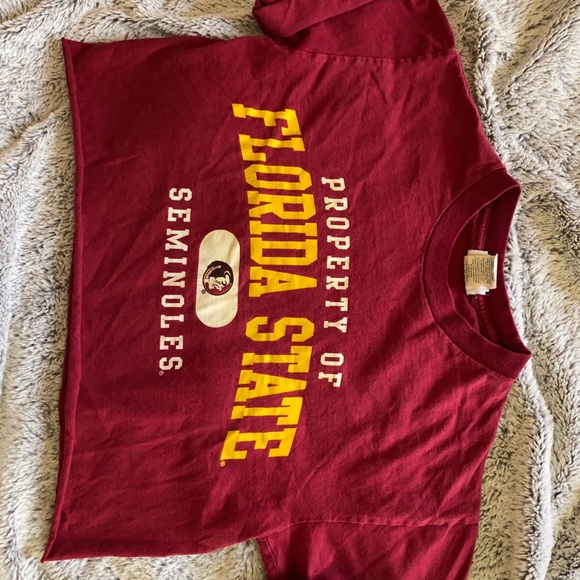 ✰FLORIDA STATE CROP TOP ✰ - Picture 3 of 3
